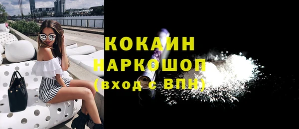 спиды Магас