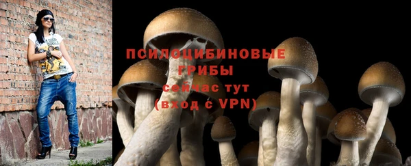 мяу мяу мука Магадан
