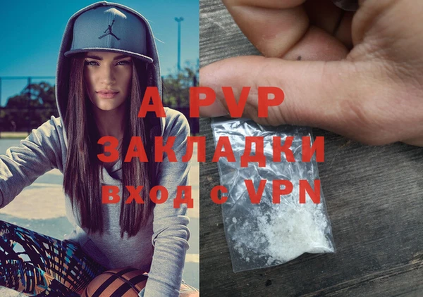 спиды Магас