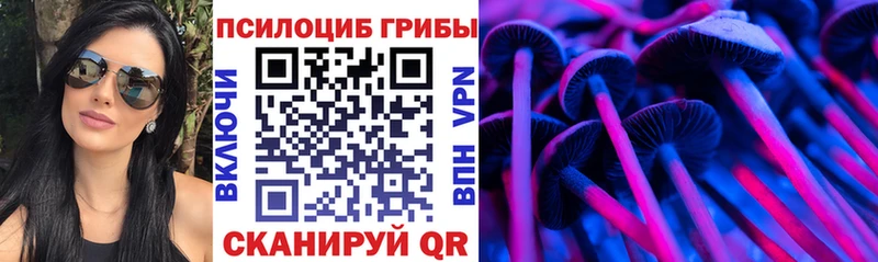 Купить  Поворино  Псилоцибиновые грибы MAGIC MUSHROOMS 