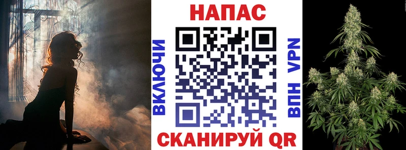 Купить где  Поворино  Бошки Шишки семена 
